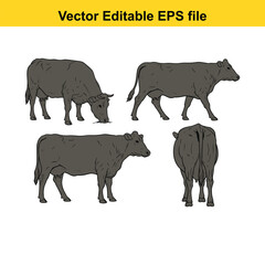 Vector art of set of four illustrations of a cow in different poses