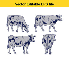 Vector art of set of four illustrations of a spotted cow in different poses