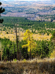 view of the autumn forest from the top of a low mountain, southern Urals