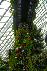 Amazing of the Cloud Forest dome environment at Gardens by the Bay a tropical forest fantastic the popular travel destination in Singapore