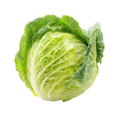 Fototapeta premium Cabbage isolated on transparent background