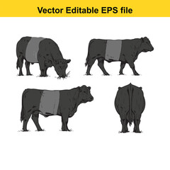 Vector art of set of four cow illustrations in different poses
