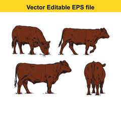 Vector art of four different poses of a brown cow, , vector illustration