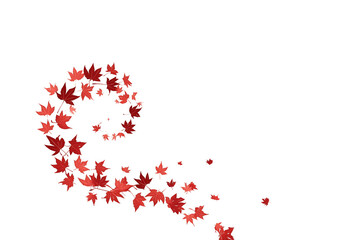 Obraz premium A spiral of red leaves is blowing in the wind