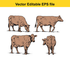 Vector art of set of four brown cows in different poses