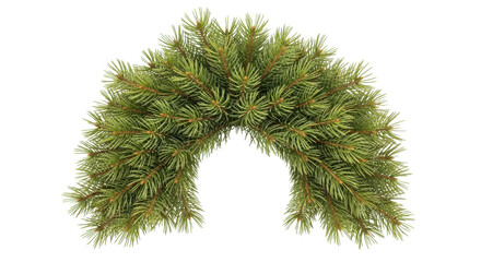 Lush green fir branch arch creates a festive natural frame for holiday designs and winter celebrations