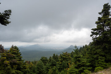 Panoramic photo of a fir forest in the mountains  with a cloudy moody sky. Nature concept.