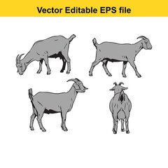 Vector art of set of four grey goat line drawings in different poses