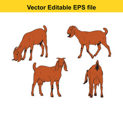 Vector art of four different poses of a brown goat shown from various angles