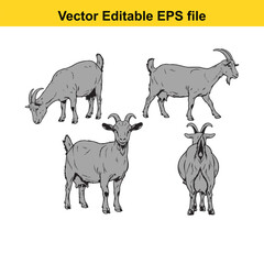 Vector art of set of four grey goats in different poses, , vector illustration