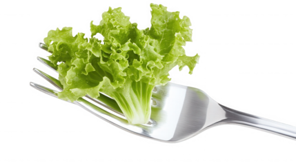 A single piece of green lettuce on a silver fork against a plain black studio background close up view on transparent background