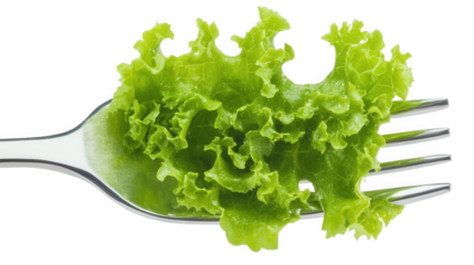 A single leaf of green lettuce impaled on a silver fork against a plain black background studio shot on transparent background