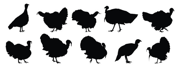 turkey silhouette set. turkey isolated farm animal silhouette icon vector collection