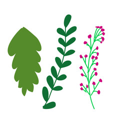 Circular floral emblem design for labels, logos, or ornamental purposes.