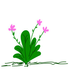 Flower Icon for Graphic Use