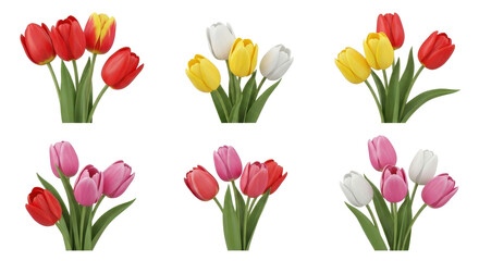 Vibrant tulip bouquets in red, yellow, pink, and white bring spring freshness and natural beauty to any project.