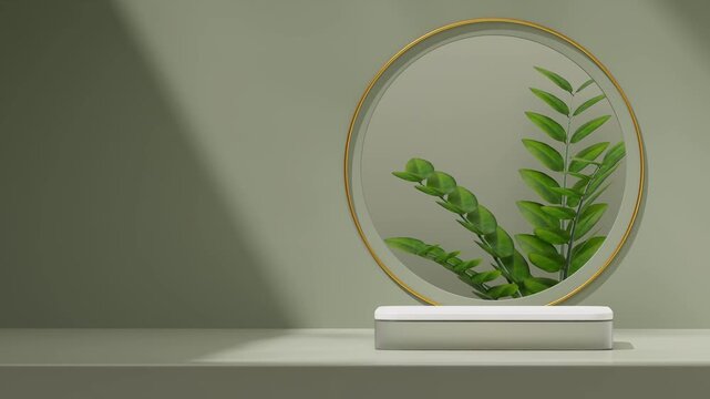 white and transparent podium seamless loop shadow animation with green zamia and gold ring, 3d render footage mockup template