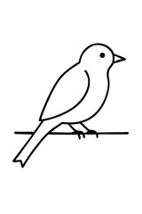 Obraz premium vector illustration of a bird