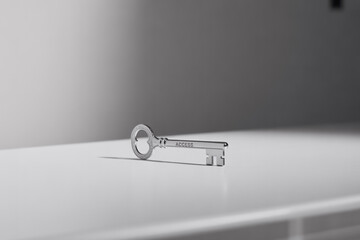 Photograph of a Single Elegant Silver Spoon on a White Background