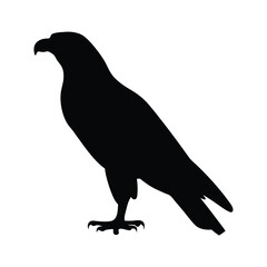 Majestic Eagle Silhouette A Powerful Emblem of Freedom and Precision Design