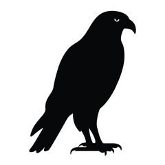 Fototapeta premium Black silhouette of a fierce looking eagle or hawk on white background