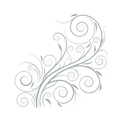 Grey Floral Swirls and Vines Decorative Element on White Background vector illustration
