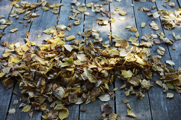 Obraz premium Autumn Leaves Scattered on Rustic Wooden Deck: Capturing the Essence of Fall Season