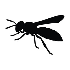 Striking silhouette of a wasp against a white background, minimalistic design