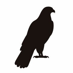 Silhouette of a majestic eagle perched upright on a white background