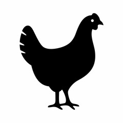Black silhouette of a chicken standing on a white background illustration