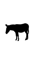 Silhouette of a Donkey - A Simple and Striking Animal Illustration.