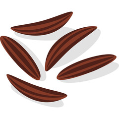 Five brown cumin seeds with dark stripes and subtle gray shadows scattered on a clean white background vibrant and isolated.
