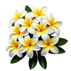 Fototapeta premium Bouquet of white and yellow flowers with green leaves on black