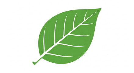 Obraz premium A simple, stylized illustration of a single green leaf on a white background.