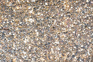 Close-up view of small stones and gravel on the walkway surface.