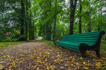 a bench for elderly people to rest in a city park. park landscape. place to rest. autumn leaves. screensaver. early autumn landscape.