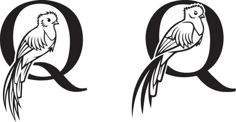 Elegant Crested Bird and Letter Q Emblem Design Monochrome Vector