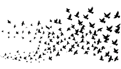 Abstract, dark network of interconnected lines and nodes against a black background