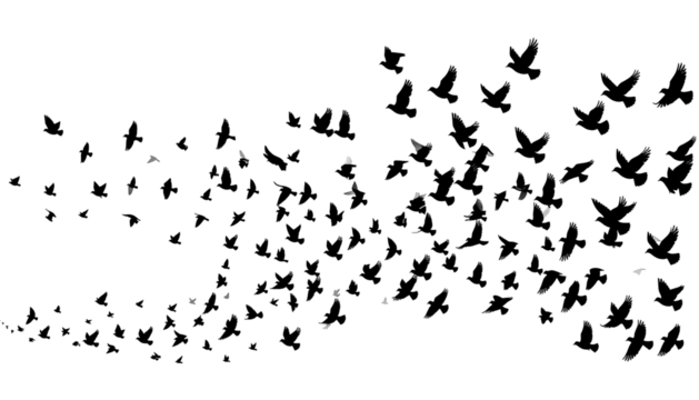 Abstract, dark network of interconnected lines and nodes against a black background