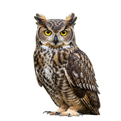 Majestic great horned owl with piercing yellow eyes gazes intently forward, showcasing intricate feather detail and powerful talons.