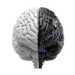 Split brain, half organic, half robotic, isolated on transparent background