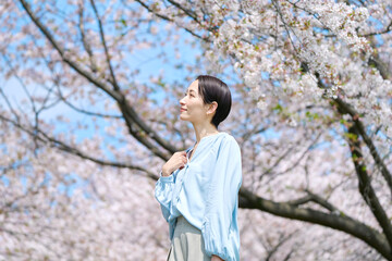 満開の桜と散歩する女性