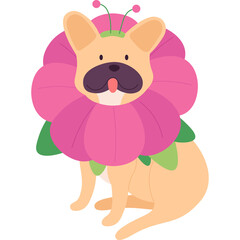 Cute French Bulldog Dog Wearing A Pink Flower Costume With Green Leaves And Antennas On A Transparent Background With A Stick Out Tongue And Happy Expression