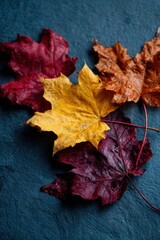 Obraz premium Premium Autumn Maple Leaves Top-Down Flat Lay with Warm Honey Blaze and Vintage Rust Tones for Modern Seasonal Lifestyle Marketing Content