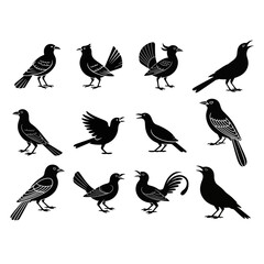 Obraz premium Collection of black bird silhouettes Diverse avian illustrations for nature, wildlife, and design projects, perfect for icons