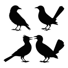 Fototapeta premium Bird Silhouettes A Collection of Avian Black Shapes on White Background for Creative Projects and Designs