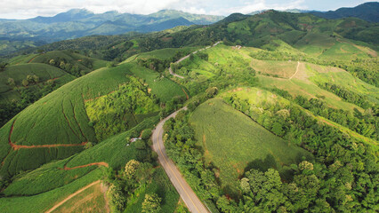Aerial view of the greenery hills and mountain road by drone