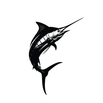 Vector illustration of black and white marlin jumping