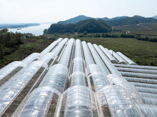 aerial view greenhouse on mountain