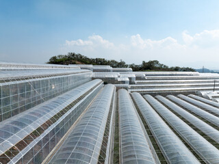 aerial view greenhouse on mountain